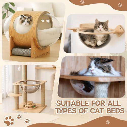Yalikop 6 Pcs Cat Acrylic Dome Bubble, 11.8 Inch Space Transparent Capsule