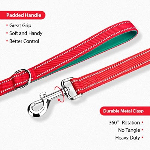 PHOEPET 5 Feet Dog Leash - Dual-Side Reflective - Soft Padded Handle