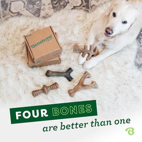 Benebone Large 4-Pack Dog Toys for Aggressive Chewers – Under 90 lbs
