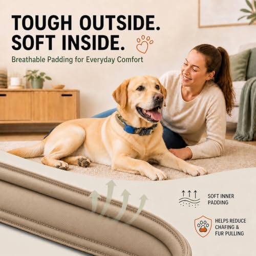 Tactical Dog Collar with Handle, Heavy Duty Nylon for Medium Dogs