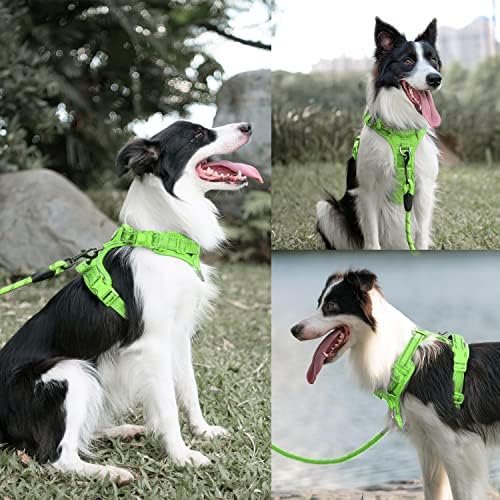 PoyPet Dog Harness and Leash Set, No Pull Vest with Front Clip and Handle