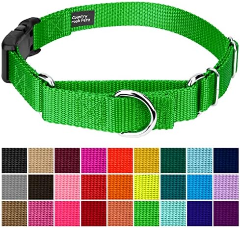 Martingale Dog Collar - Heavy Duty Nylon Adjustable Martingale Dog Collar with Plastic Buckle for Small Medium Large Breeds - 30+ Colors (3/4 Inch, Small, Hot Lime Green)