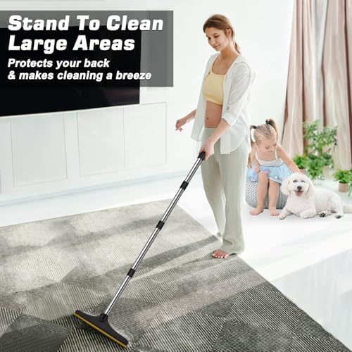 B-Land Carpet Rake for Pet Hair Removal, Reusable Carpet Scraper Broom