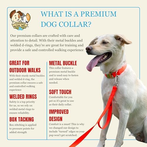 Country Brook Petz - Premium Nylon Dog Collar with Metal Buckle for Small Medium Large Breeds - 30+ Colors (Small, 3/4 Inch, Hot Orange)