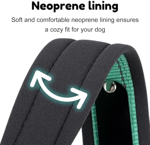 Personalized Reflective Dog Collar with Name (Rose, XL (22-26 Inches))