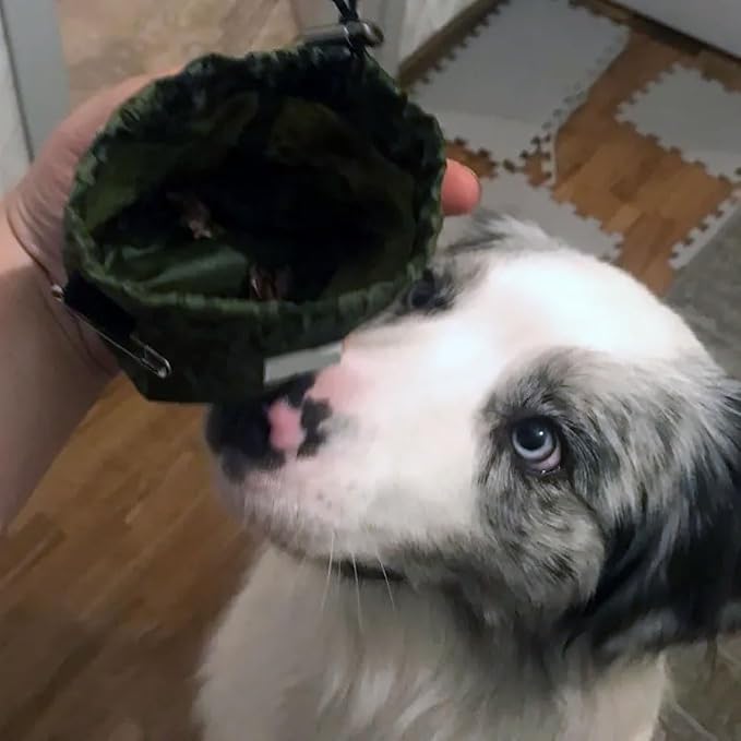 Small Dog Treat Pouch Puppy Training Bag with Carabiner Clip, Bait Bag