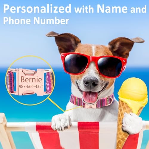 Personalized Bohemian Dog Collar
