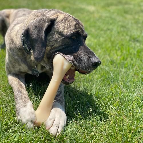 Nylabone Power Chew Butcher Bone Dog Chew Toy, Chicken Flavor, XX-Large