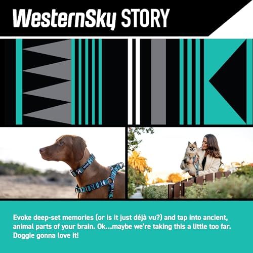 Wolfgang Venture Dog Collar Westernsky S