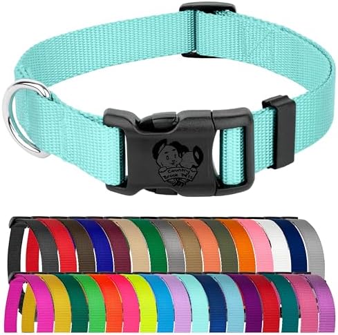 Country Brook Petz - Everyday Nylon Dog Collar for Large, Medium, and Small Dogs and Puppies - for Everyday Use in 30+ Colors (Extra Large, 1 Inch Wide, Light Cyan)