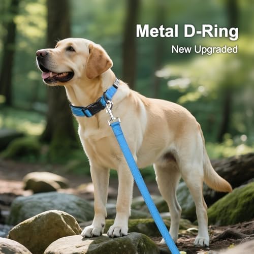 Joytale Personalized Dog Collar with Name Plate Built-in for Medium Dogs