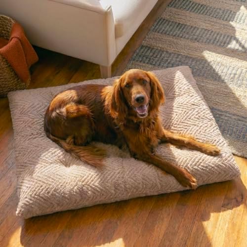 Best Friends by Sheri Comfy Crate Dog Bed Washable, Mushroom, 42" x 28"
