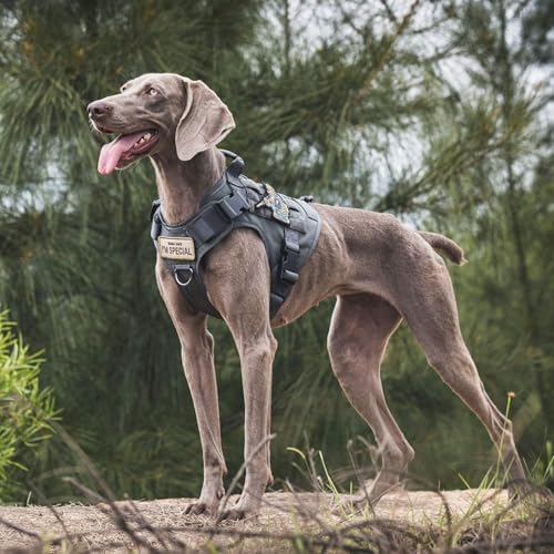 OneTigris Tactical Dog Harness Vest No-Pull Service Dog Vest for Large Dogs