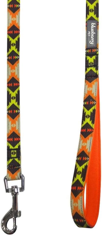 Blueberry Pet 2 Colors Southwestern Vintage Tribal Print Dog Leash with Soft & Comfortable Handle, 5 ft x 3/4", Extravagant Orange, Medium, Leashes for Dogs