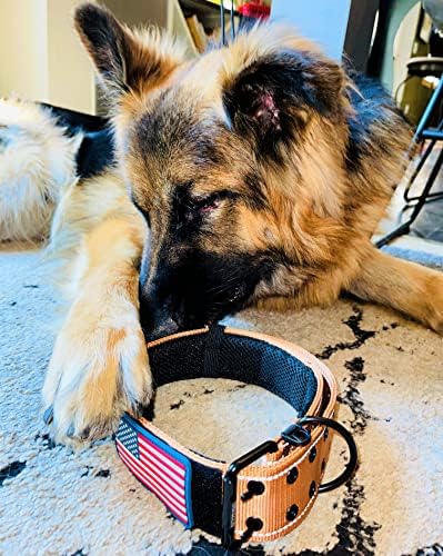 Tactical Dog Collar 2 Inch Wide Heavy Duty with Metal 2-Pin Belt Buckle for Medium, Large & XL Dogs, Thick Military-Style K9 Collar, Reflective, with Name Plate Area, USA Flag Patch, Strong & Durable
