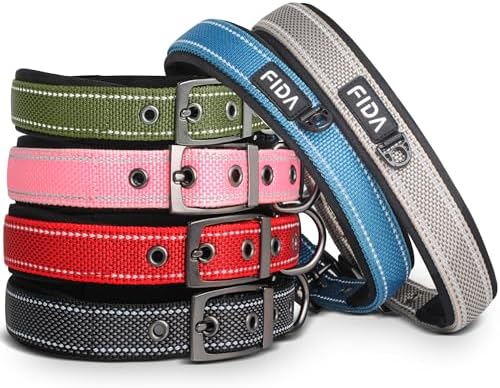 Fida Padded Dog Collar for Small Dogs with Metal Belt Buckle, Green