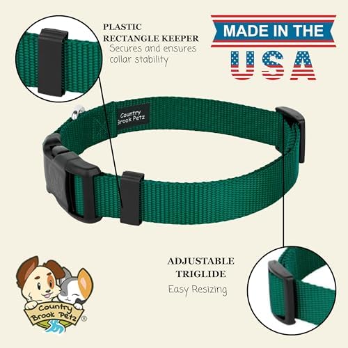Country Brook Petz - Everyday Nylon Dog Collar for Large, Medium, and Small Dogs and Puppies - for Everyday Use in 30+ Colors (Small, 3/4 Inch Wide, Green)