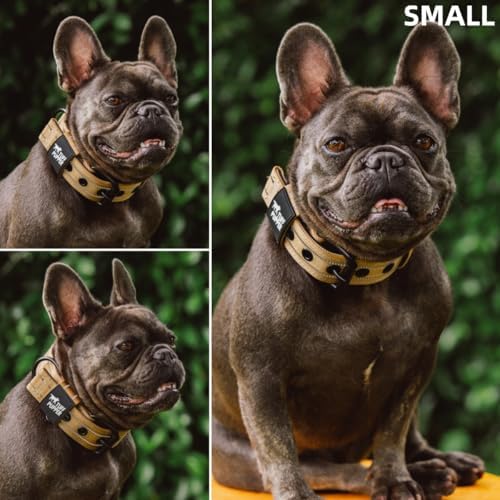 Tuff Pupper Heavy Duty Tactical Dog Collar | 1.25" Wide Ballistic Nylon | Reflective Stitching | Integrated ID Tag Holder | Stainless Steel Buckle | Padded Lining | Small & Medium Dogs (Tan, Small)