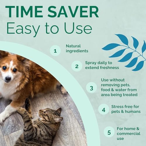 No Scent Crate Kennel & Floor Cleaner for Dog Run, Cat Carrier, Hard Surface Pet Odor & Stain Management (2 Fl Oz / 59 mL)