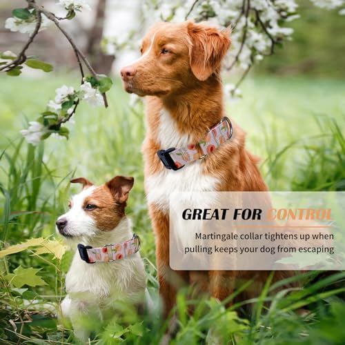 Hikiko Martingale Collar for Dogs with Special Pattern,Adjustable,S