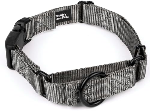 Martingale Dog Collar - Heavy Duty Nylon Adjustable Martingale Dog Collar with Plastic Buckle for Small Medium Large Breeds - 30+ Colors (5/8 Inch, Extra Small, Charcoal)