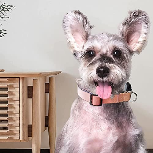 Roses&Poetry Reflective Small Dog Collar and Leash Set, Puppy Leashes with Collars, Adjustable Durable Matching Nylon Pet Collar Leash for Walking,Playing,Training (Azure-XS)