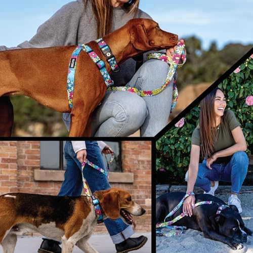 Wolfgang Venture Dog Collar Lazydaisy M