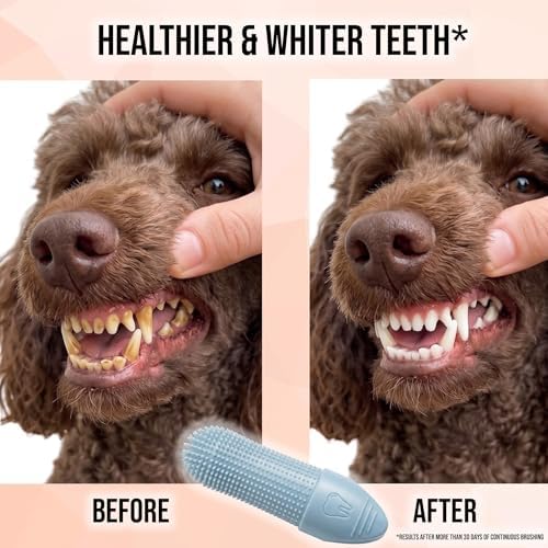 Hampton Distribution 2-Pack Pet Dental Care Kit - 360° Silicone Dog & Cat Finger Pet Toothbrush