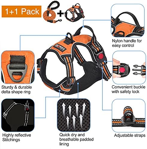tobeDRI No Pull Dog Harness Adjustable Reflective Oxford Easy Control Medium Large Dog Harness with A Free Heavy Duty 5ft Dog Leash, Orange, XL