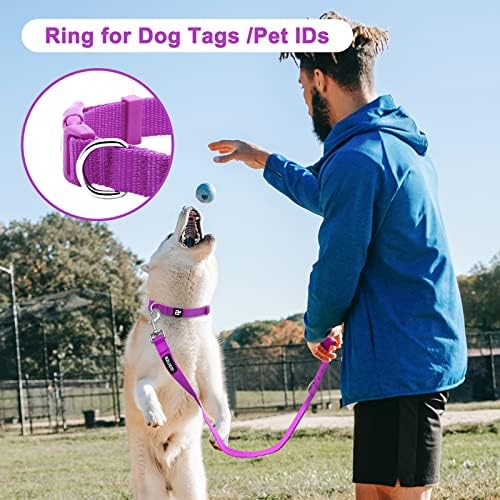 azuza 3 Pack Dog Collars, Soft Nylon Dog Collars for Large Dogs, Pink, L