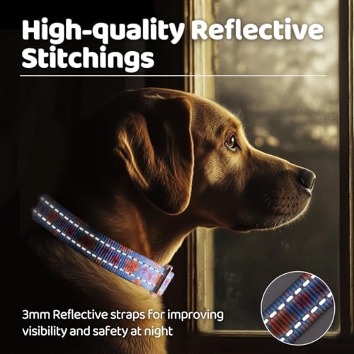 QQPETS Reflective Dog Collar with Metal Buckle Adjustable Nylon Collars Gift for Small Medium Large Boys Girls Dogs