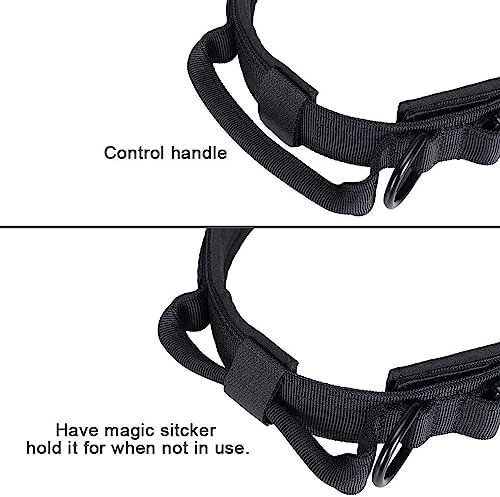 EXCELLENT ELITE SPANKER Tactical Nylon Dog Collar Military Metal Buckle