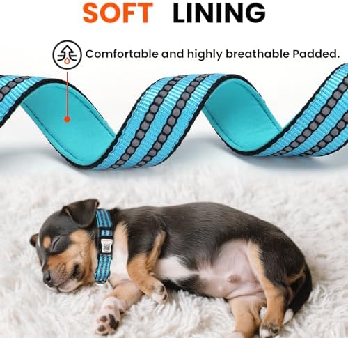 Personalized Dog Collar with QR Code Dog Tag, Light Blue L