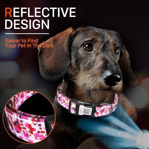 Personalized Dog Collar with QR Code Dog Tag, Camo Rose Red M