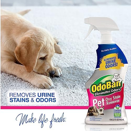 OdoBan Pet Solutions Oxy Stain Remover, Pet Stain Eliminator, Made in the USA, 6-Pack, 32 Ounce Spray Each