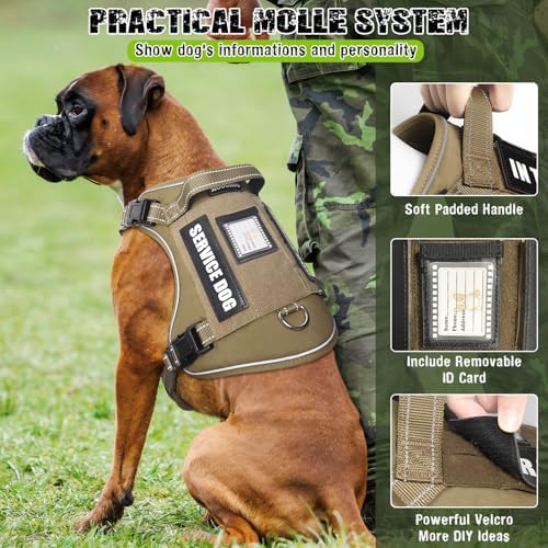 Tactical Dog Harness and Leash Set with 10 Patches for Large Dogs