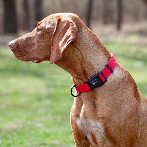 Dogline Red Nylon Collar (W: 3/4" L: 13"-20")