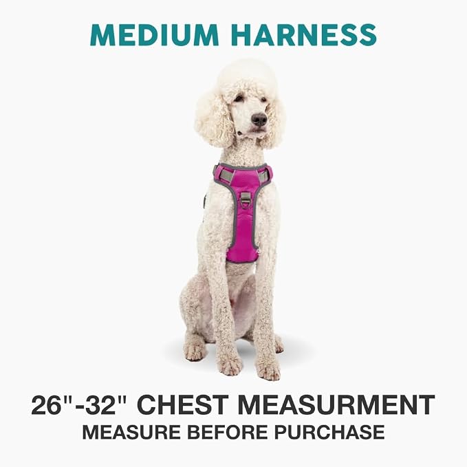 Embark Adventure Dog Harness, Reflective Trim No Pull Dog Harness Medium Sized Dogs - Military Grade Nylon, Front Clip with Gel Lined Handle.