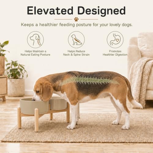 Havniva Ceramic Dog Bowls Elevated, Raised Dog Food Bowl for Small Dogs