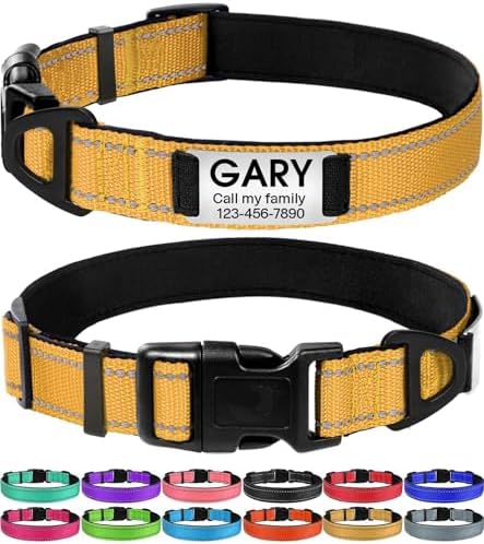 Joytale Personalized Dog Collar with Name Plate Built-in for XLarge Dogs