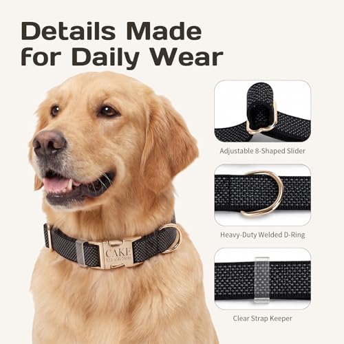 Custom Dog Collar with Name and Phone Number