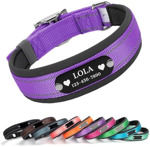 Custom Dog Collar with Engraved Name & Number, Purple: S