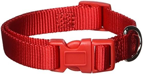 Zack & Zoey ⅝" Wide Nylon Dog Collar, Fits Necks 10" to 16", Tomato Red