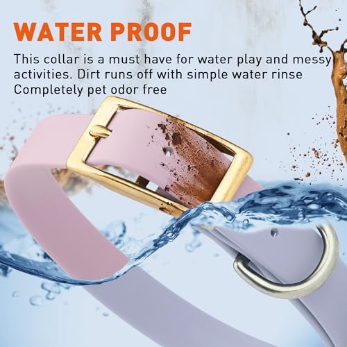 Viper Biothane Heavy Duty Waterproof Dog Collar Strong Coated Nylon Webbing w/Solid Brass Hardware Odor-Proof for Easy Care to Clean High Performance Fits Small Medium or Large Dogs, Pastel Purple