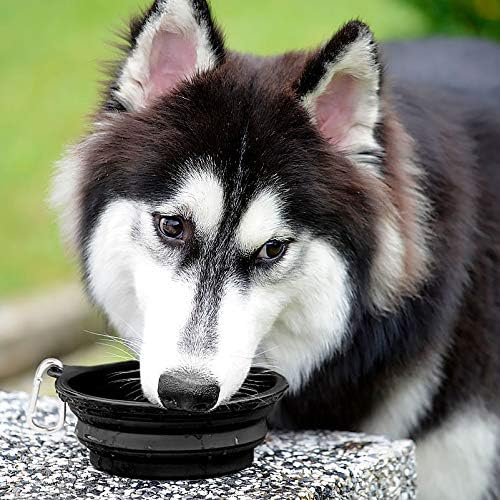 Kytely Large Collapsible Dog Bowls 2 Pack, 34oz Foldable Dog Travel Bowl