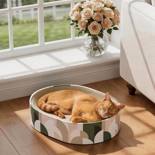 Conlun Oval Cat Scratcher Bed | Scratching Bowl Lounge for Kittens | Medium