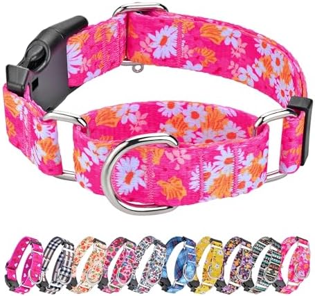 Hikiko Martingale Collar for Dogs with Special Pattern,Adjustable,L