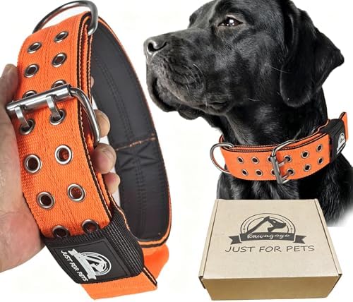 4-Layer Nylon Dog Collar,Heavy Duty for Large Dogs,Orange XL
