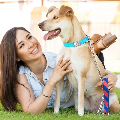 Silent Dog Collar Personalized with Name Phone Number Laser Engraved