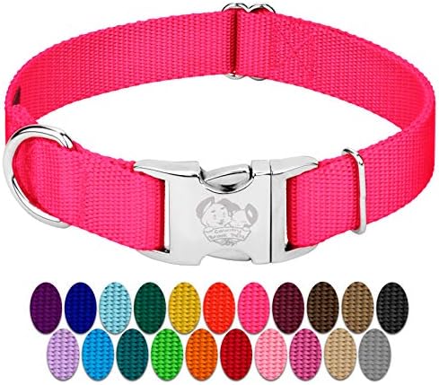 Country Brook Petz - Premium Nylon Dog Collar with Metal Buckle for Small Medium Large Breeds - 30+ Colors (Extra Large, 1 Inch, Hot Pink)